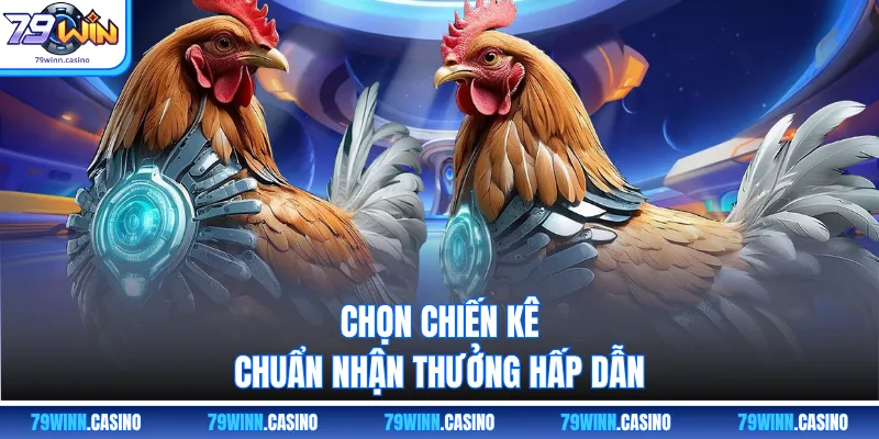 Chọn chiến kê chuẩn nhận thưởng hấp dẫn