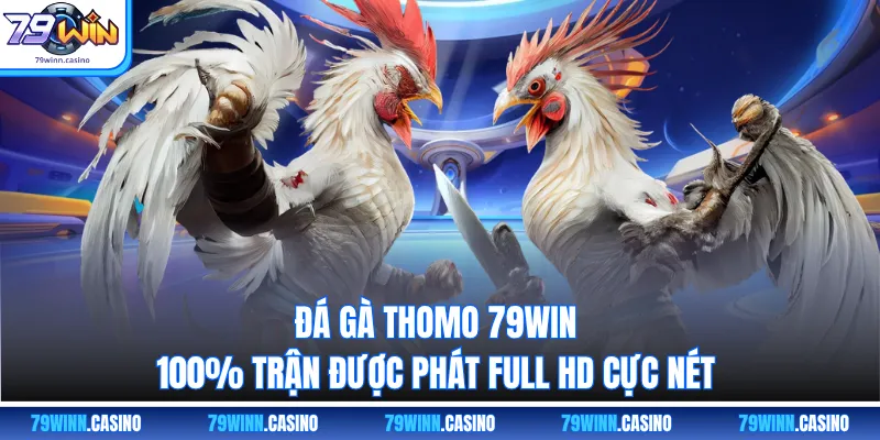 Đá Gà Thomo 79WIN – 100% Trận Được Phát Full Hd Cực Nét