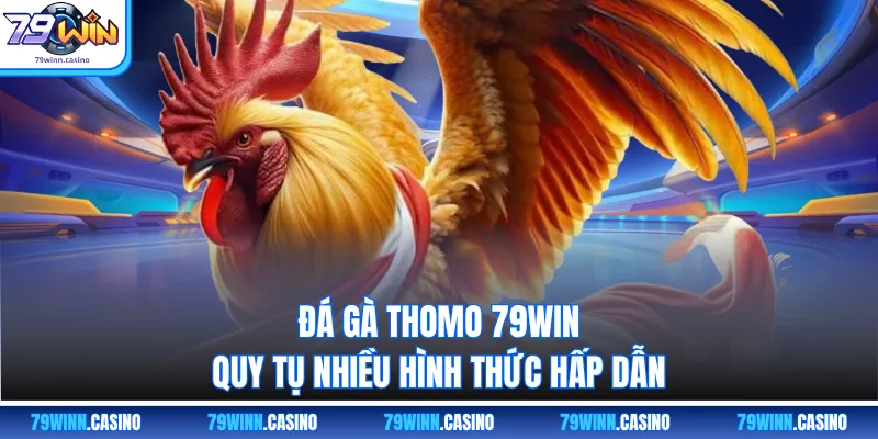 Đá gà Thomo 79WIN quy tụ nhiều hình thức hấp dẫn