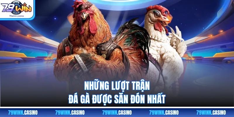 Những lượt trận đá gà được săn đón nhất