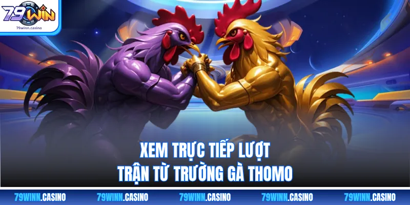 Xem trực tiếp lượt trận từ trường gà Thomo